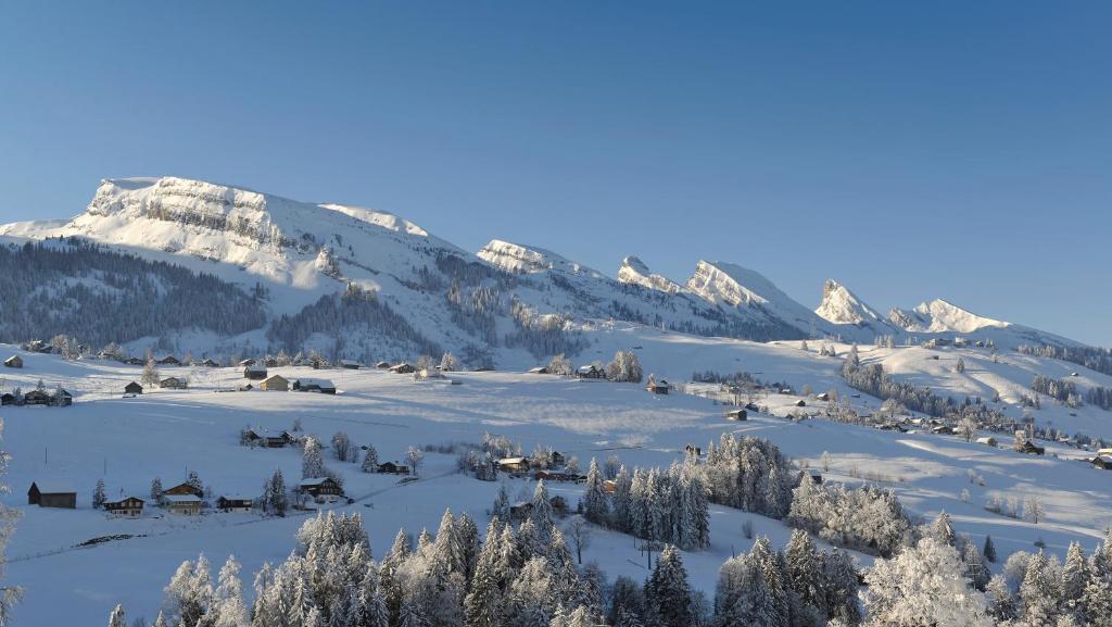 Toggenburg 3* Wildhaus